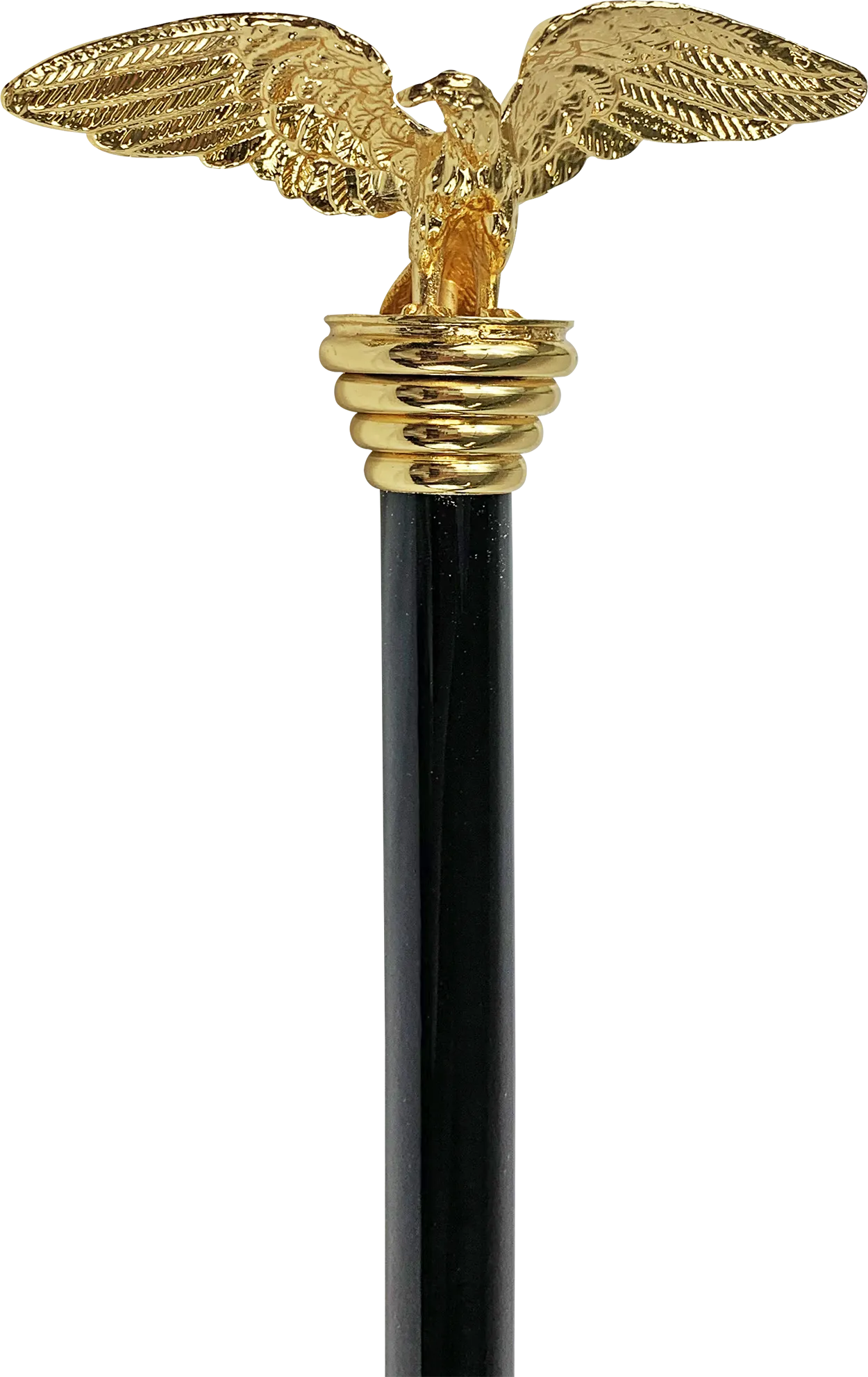 Exclusive Walking stick - Eagle with open wings