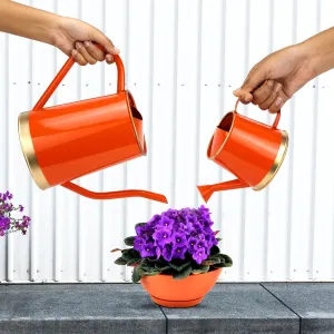 Urban Plant Watering Can Big & Small - (Pack of 2)