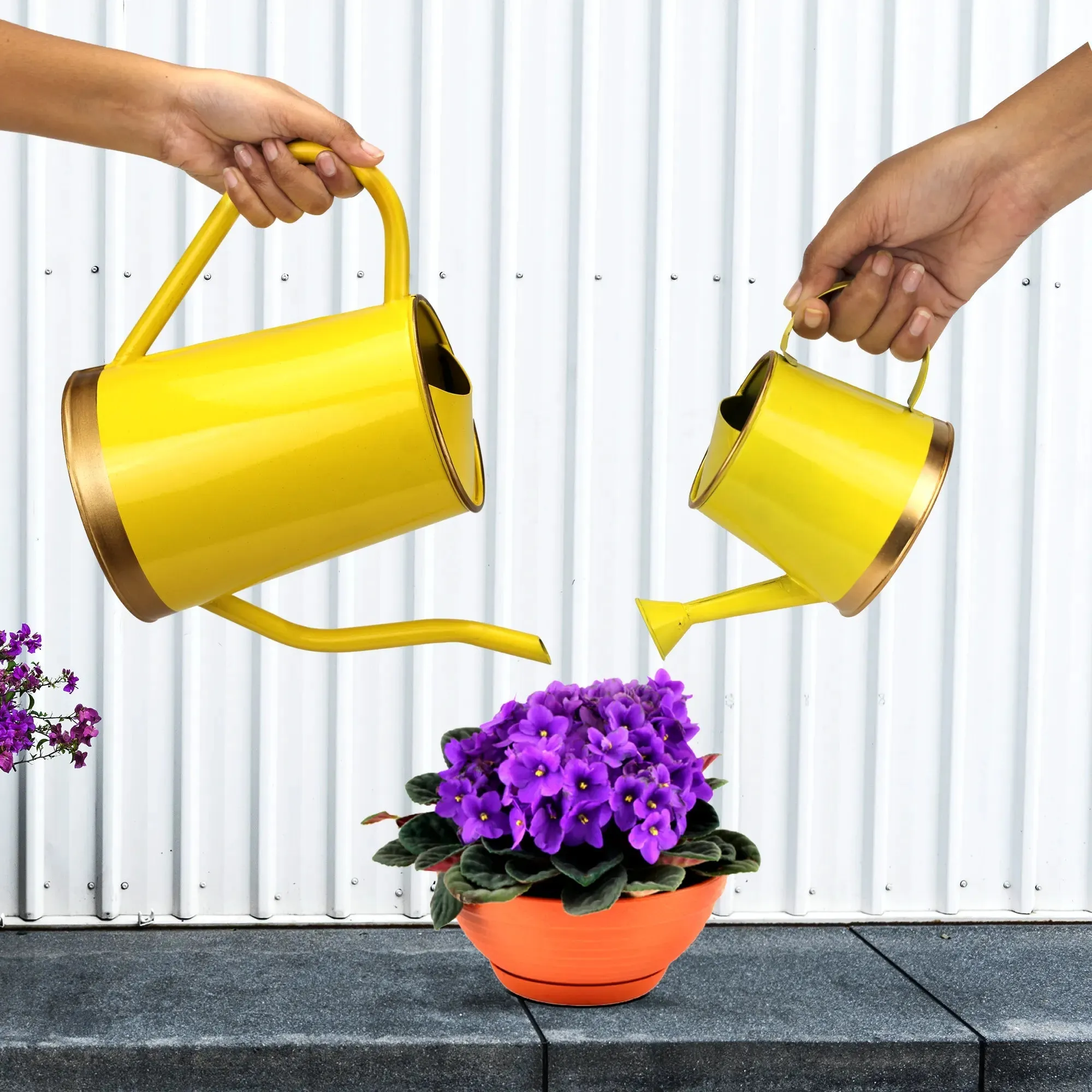 Urban Plant Watering Can Big & Small - (Pack of 2)