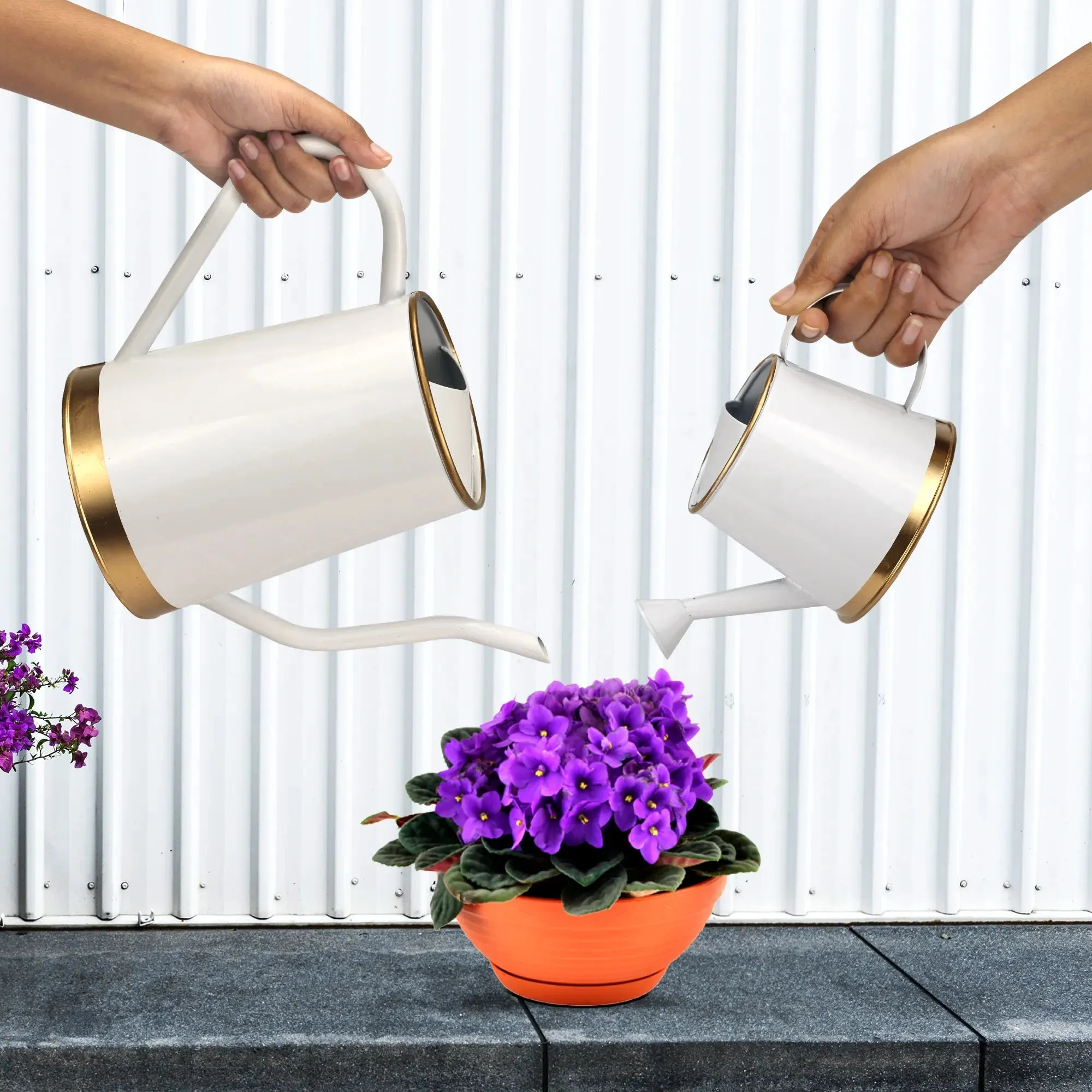 Urban Plant Watering Can Big & Small - (Pack of 2)