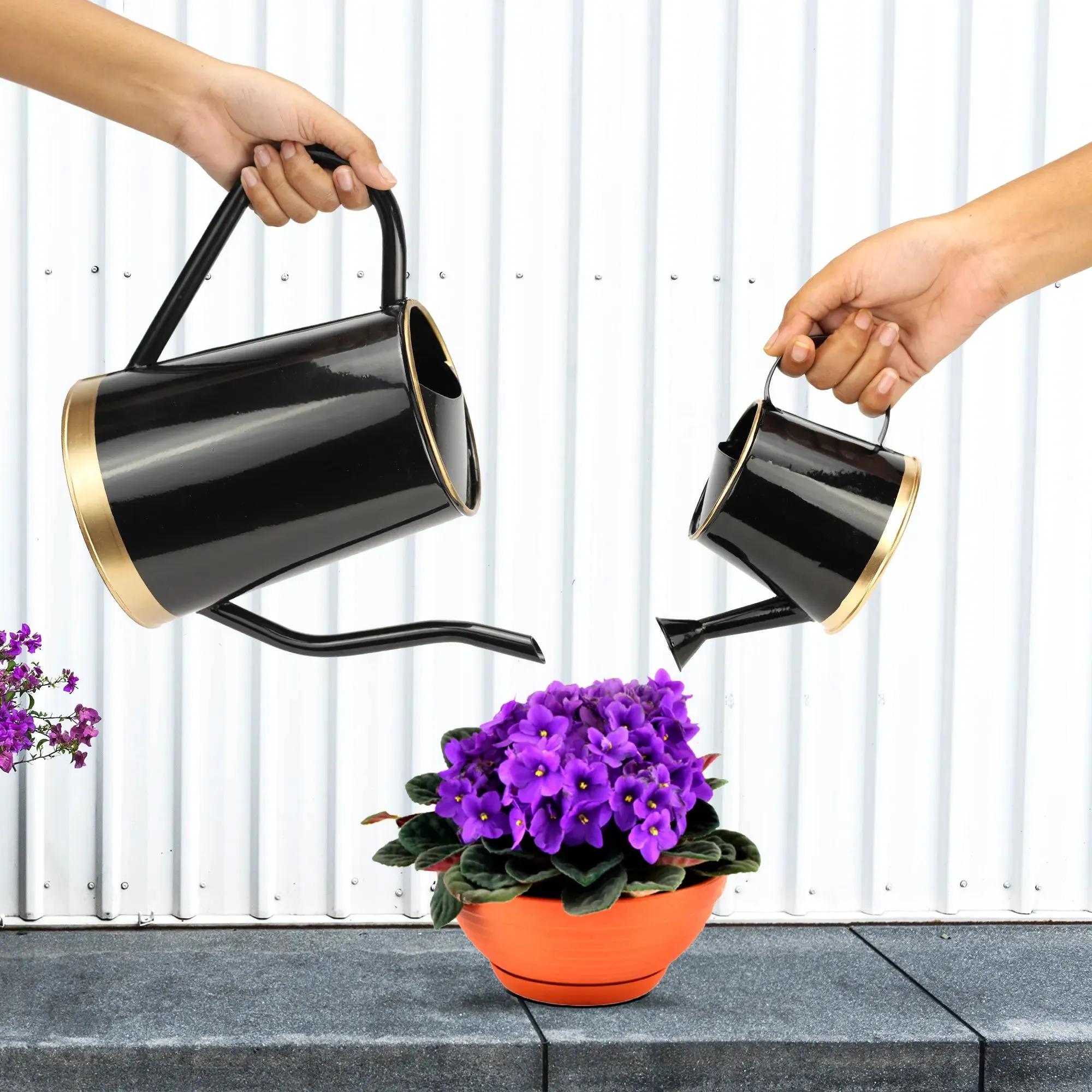 Urban Plant Watering Can Big & Small - (Pack of 2)
